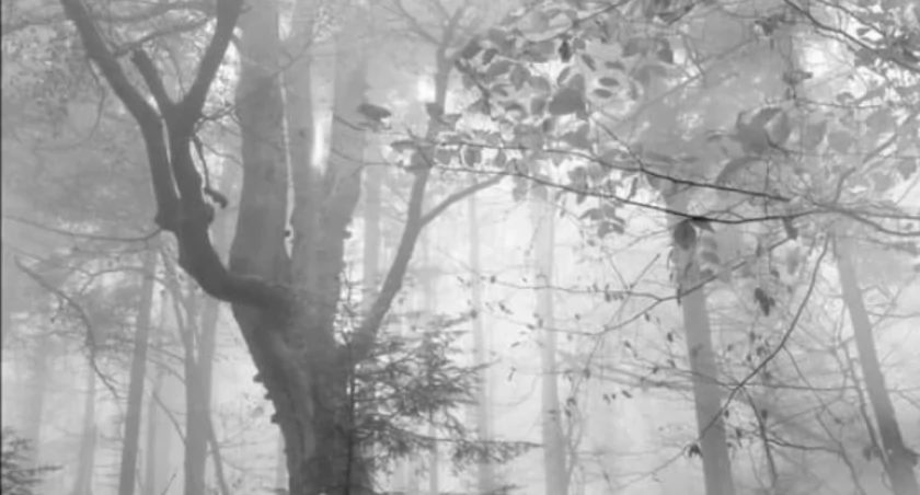 Biała Podlaska: Fotografia i obrazy podróżne - wyjątkowa wystawa dr hab. Wojciecha Sternaka w Galerii Podlaskiej