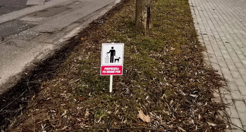Zieleń Miejska z Białej Podlaskiej stawia tabliczki o sprzątaniu po czworonogach. Brakuje jednak koszy na odchody