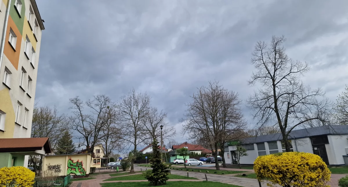 Ostrzeżenie meteorologiczne dla powiatu bialskiego. Ma dzis mocno powiać
