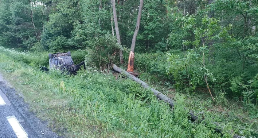 Tragiczne zdarzenie na krajowej dziewietnastce w Rzeczycy. Kierowca zderzył się z łosiem, auto dachowało. Mężczyzna zginął na miejscu 