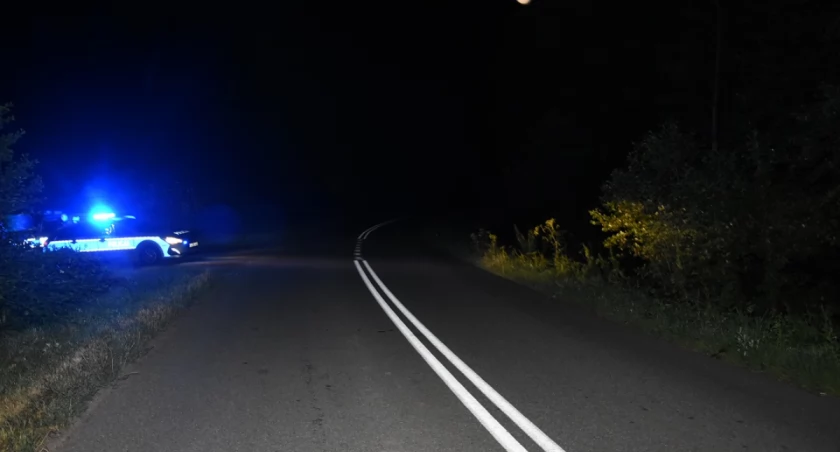 Rowerzystka zderzyła się z sarną i trafiła do szpitala: apel o ostrożność na drogach