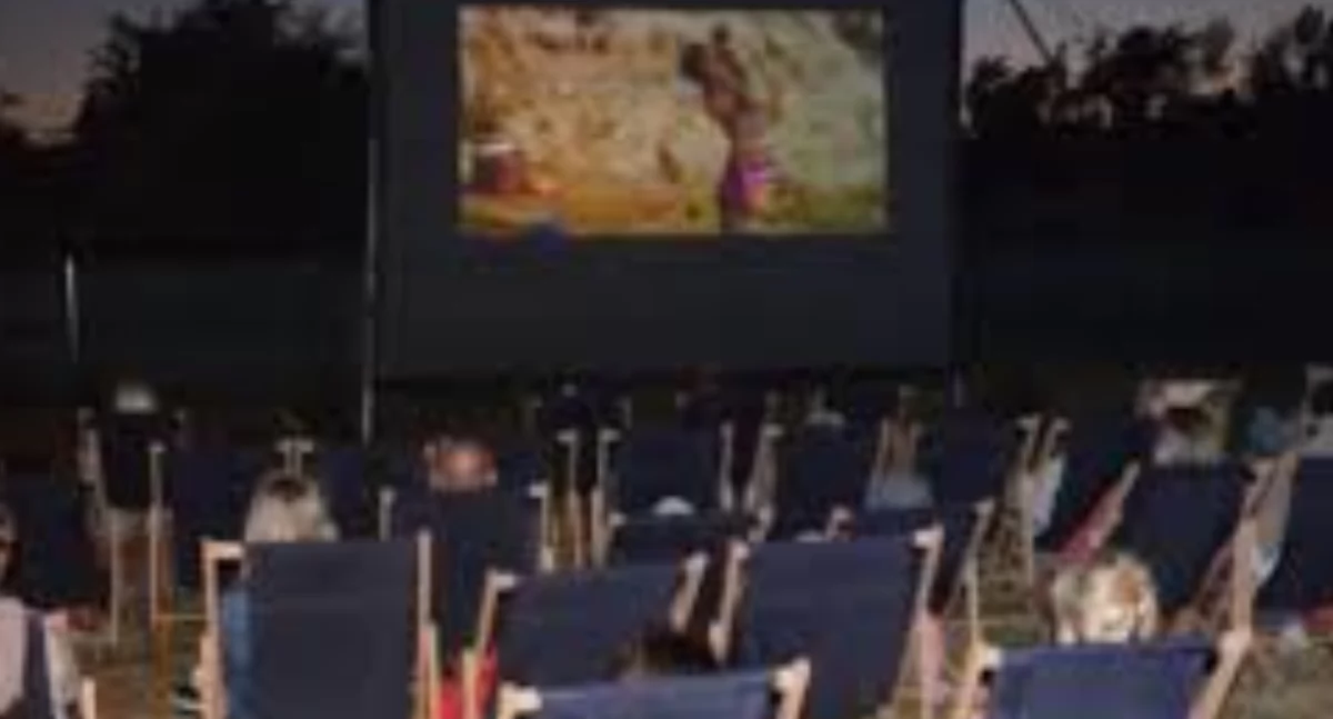 Kino pod Gwiazdami na Plaży w Porosiukach: Wieczór pełen śmiechu z filmem Pies i Kot