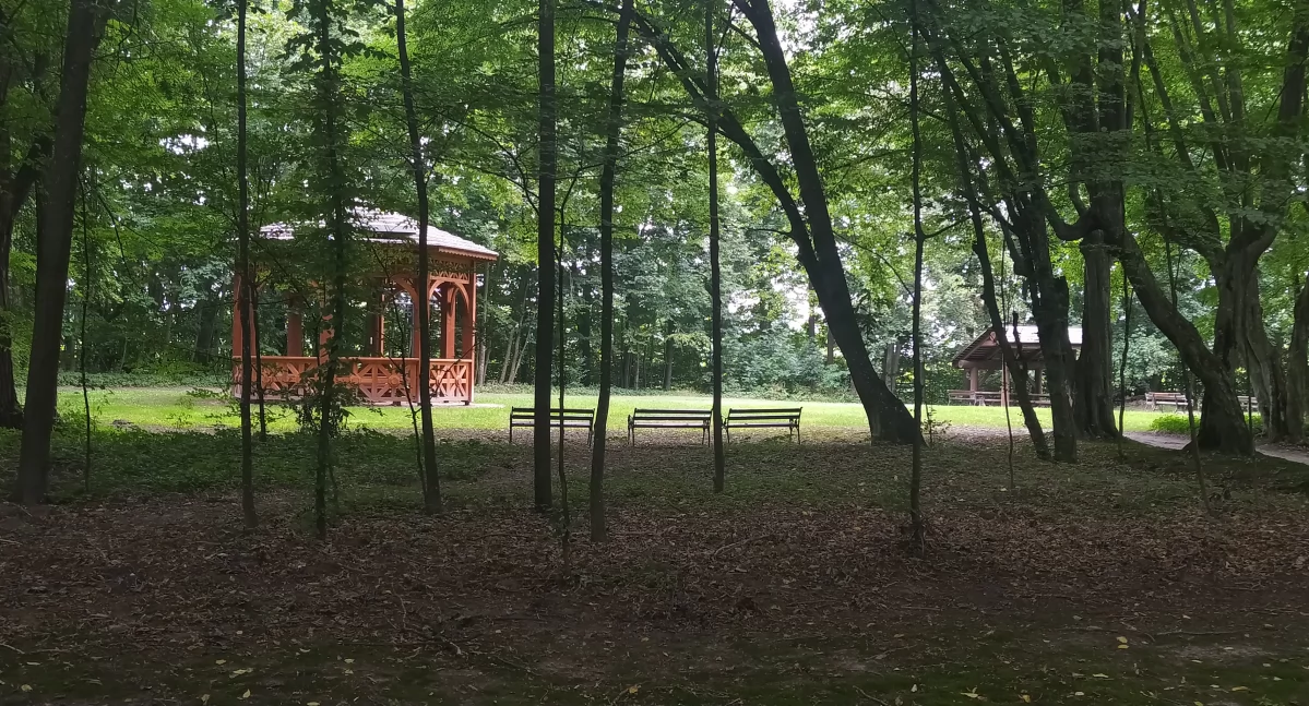 Rewitalizacja parku przy Muzeum J.I. Kraszewskiego: Tworzymy przestrzeń dla społeczności