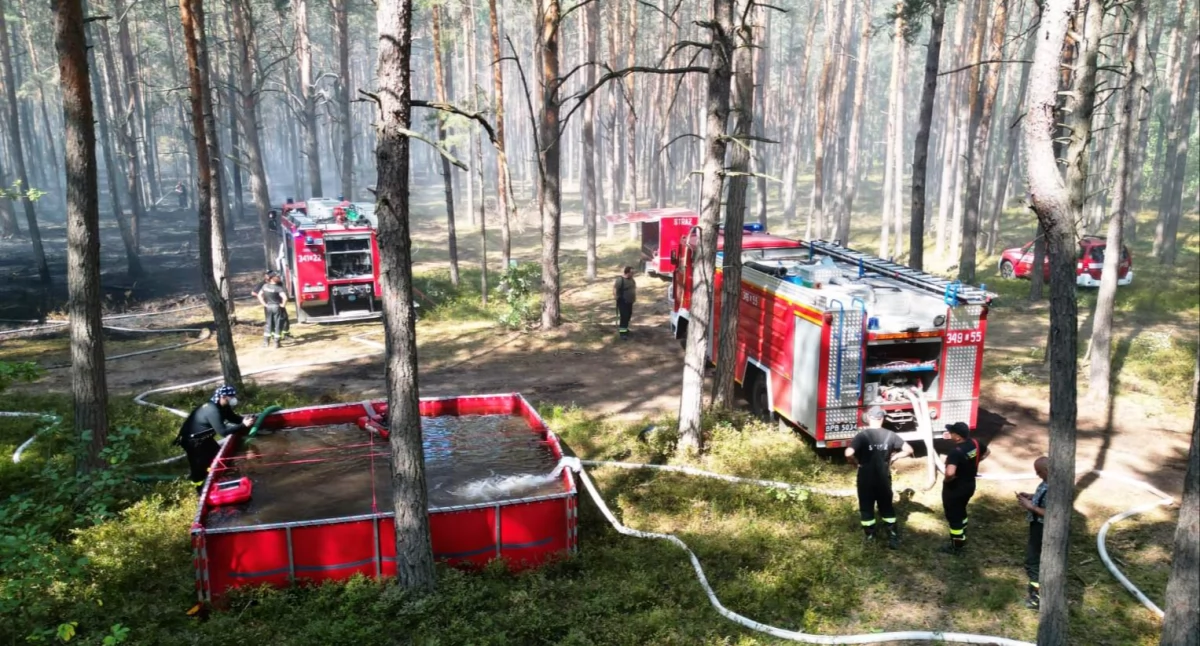 Pożar lasu w Curynie: Trudna akcja gaśnicza- nowe zbiorniki i 17 zastępów ratowników. Jeden ze strażaków uległ wypadkowi
