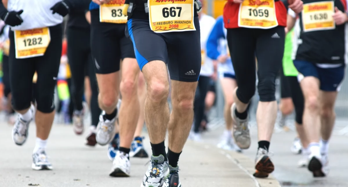 Triathlon i Paratriathlon Kraina Bugu 2024 – Razem dla Ekofarmy
