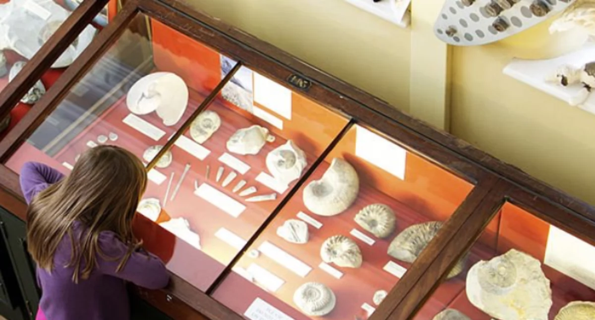 Europejskie Dni Dziedzictwa w Muzeum Południowego Podlasia: Szlaki, Sieci, Połączenia. Odkryj historię w Białej Podlaskiej 