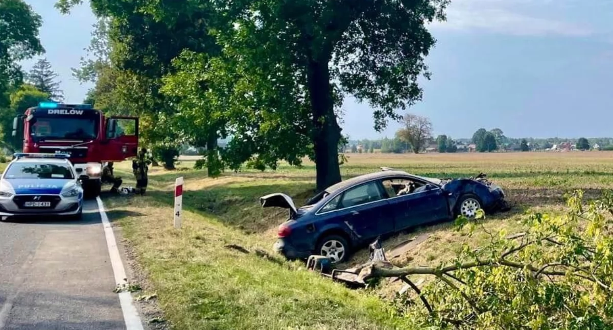 Tragiczny finał brawury: Kierowca Audi zginął po zjechaniu z drogi