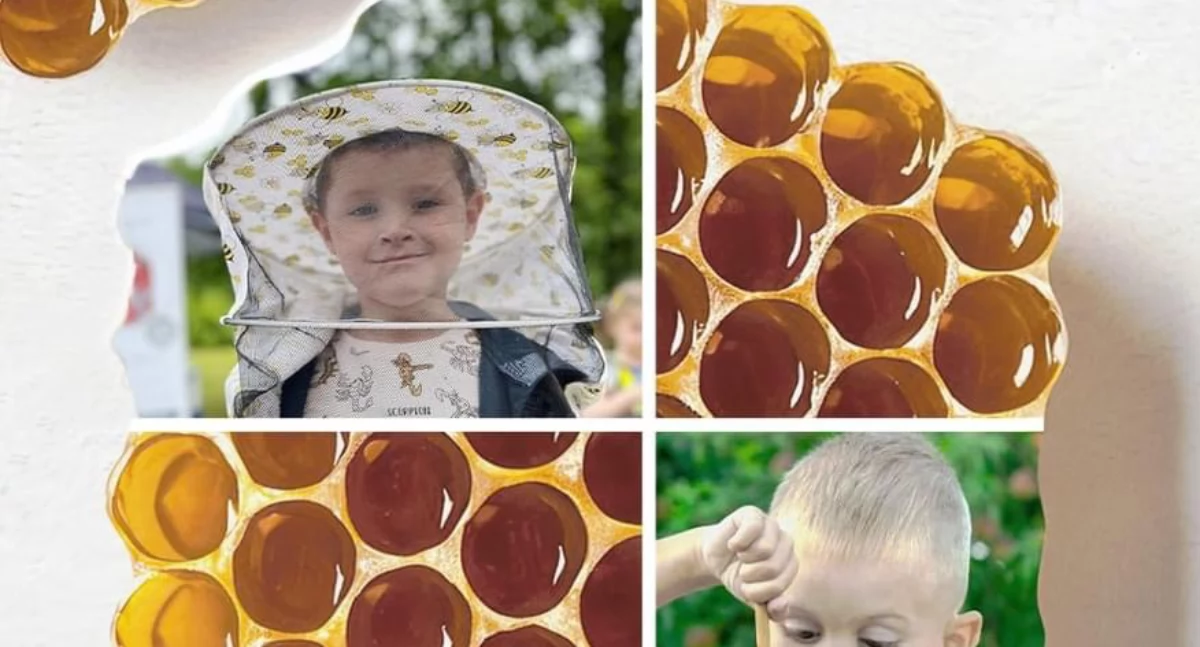 Tajemnice plastra miodu – edukacyjne warsztaty dla najmłodszych