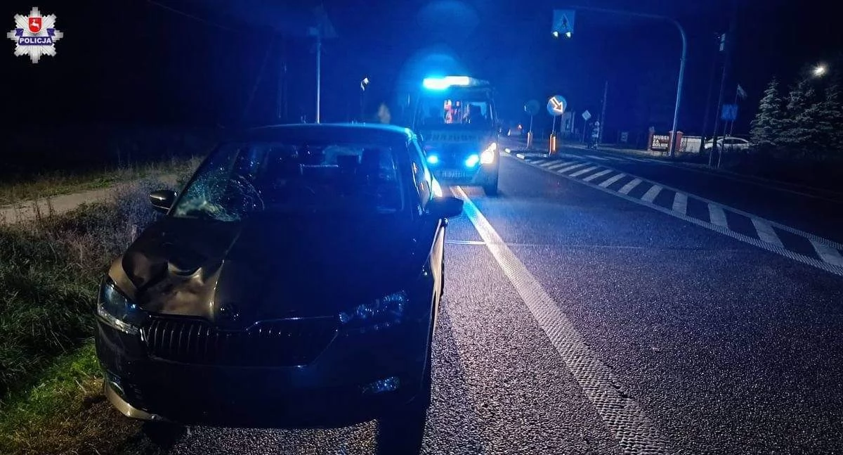 Nowe informacje: Skoda śmiertelnie potrąciła rowerzystkę: tragedia na DK-2 w Tłuśćcu