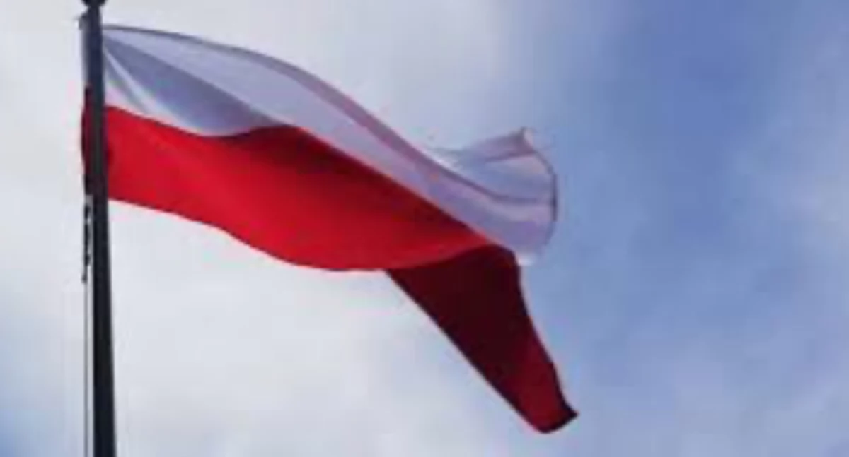 Narodowe Święto Niepodległości w Sworach: razem dla wolności