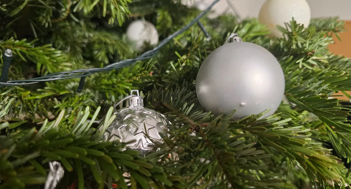 Drodzy Czytelnicy! Wesołych Świąt 