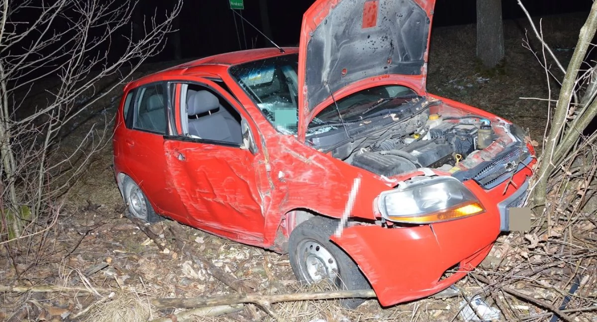 Pijany, poszukiwany 51-latek wypadł z drogi i przewoził nietrzeźwego pasażera. Grożą mu 3 lata za kratkami 