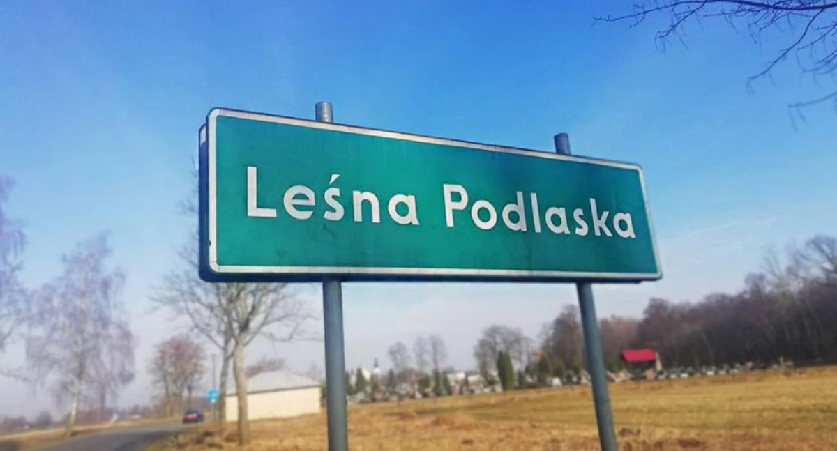 Diagnoza Problemów Społecznych na terenie Gminy Leśna Podlaska- kwestionariusz ankiety internetowej