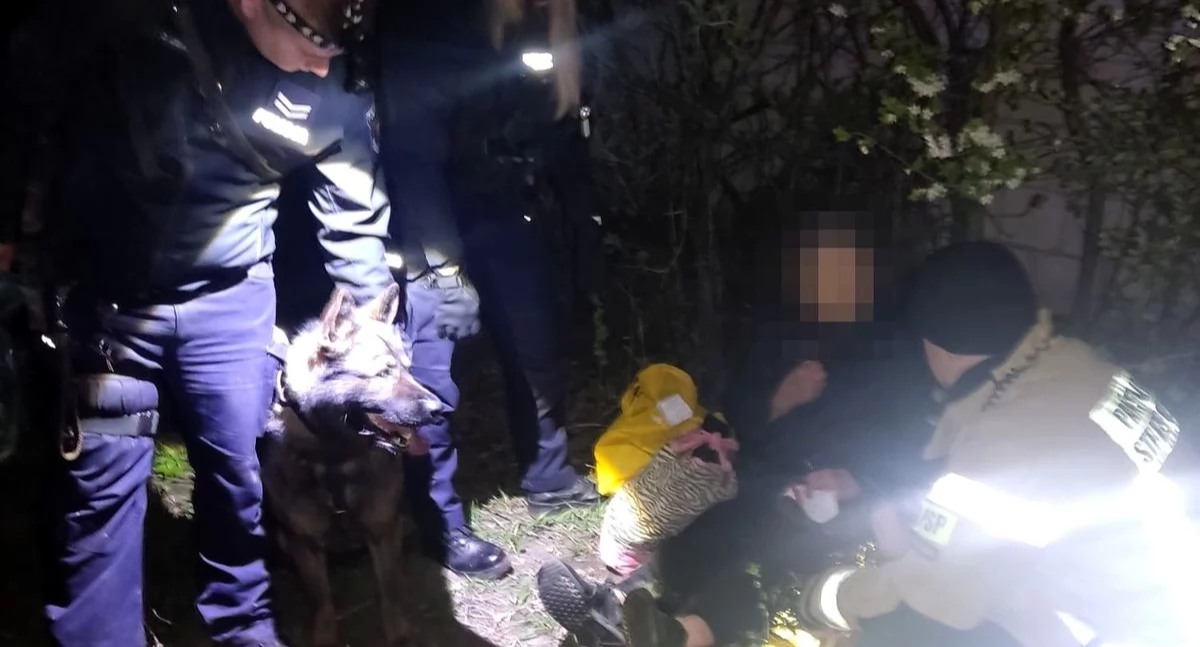 Alarm w Wisznicach! Policyjny pies Tolo bohaterem nocnych poszukiwań zaginionej seniorki