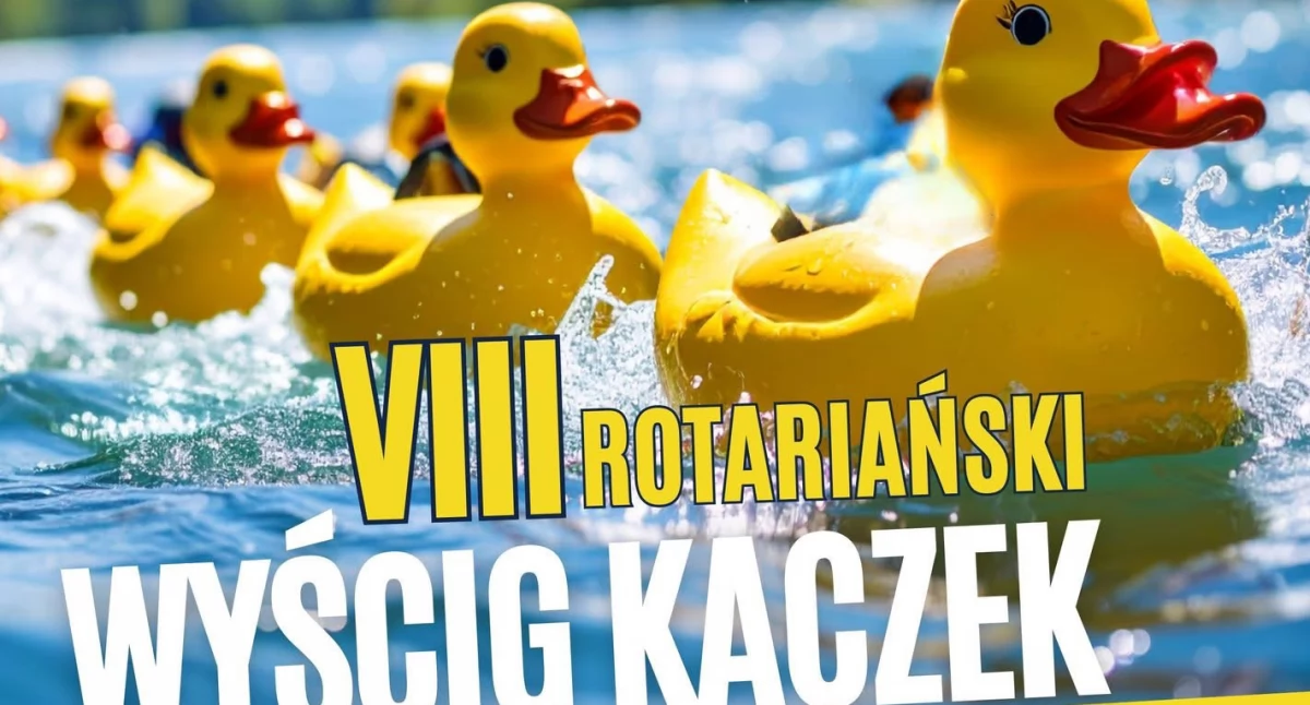 Kaczki znów popłyną Krzną! Rotariański wyścig w Białej Podlaskiej wesprze schronisko „Azyl” 