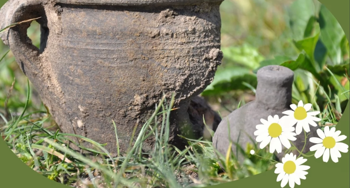 “Najstarsze dzieje Janowa Podlaskiego” – wyjątkowa wystawa archeologiczna już od lipca
