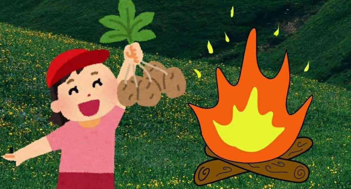 Święto Pieczonego Ziemniaka w Bublu Grannie – Rodzinny Piknik i Tradycyjne Smaki Gminy Janów Podlaski