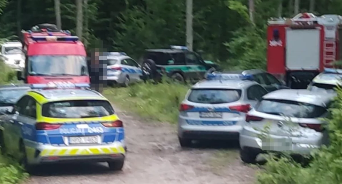 Szczęśliwy finał poszukiwań 84-latka z gminy Sosnówka – senior odnaleziony cały i zdrowy