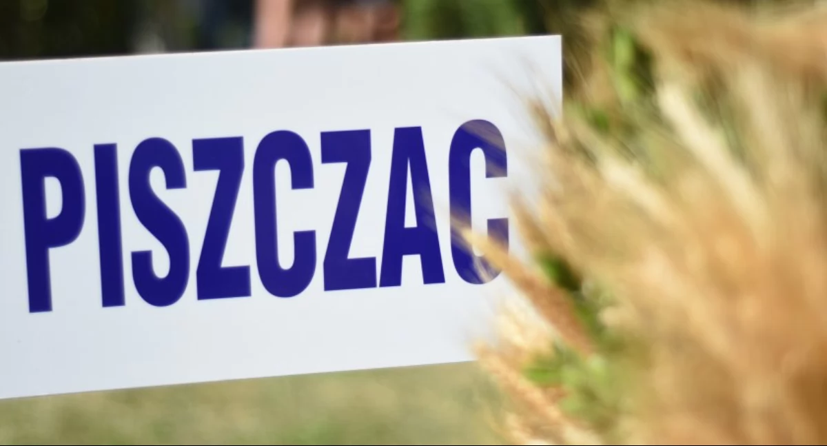 Dożynki Gminno-Parafialne w Piszczacu – dzień pełen tradycji, muzyki i wspólnego świętowania