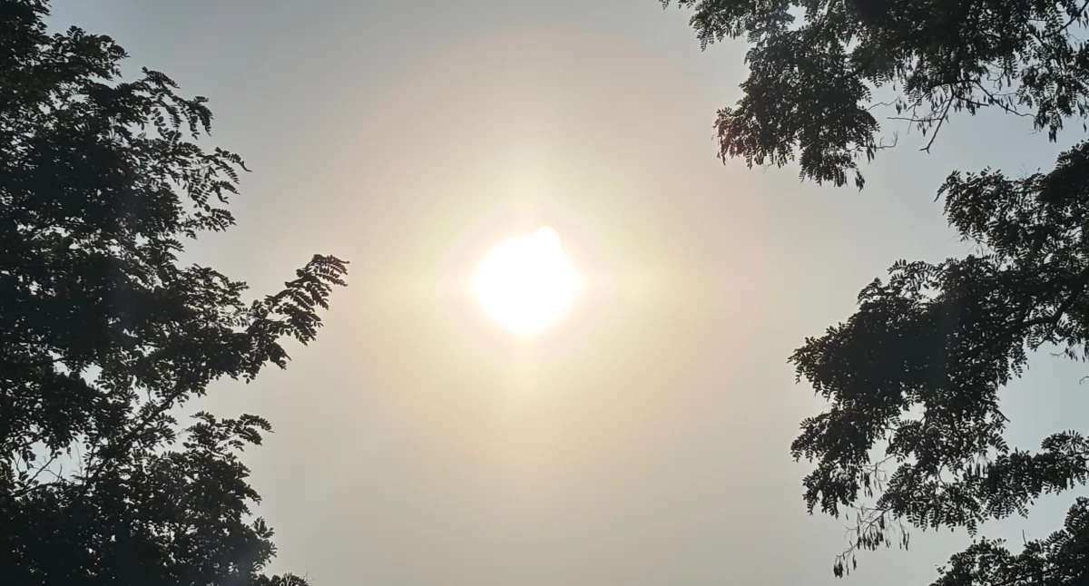 Uwaga! Ostrzeżenie meteorologiczne przed upałem i burzami w powiecie bialskim