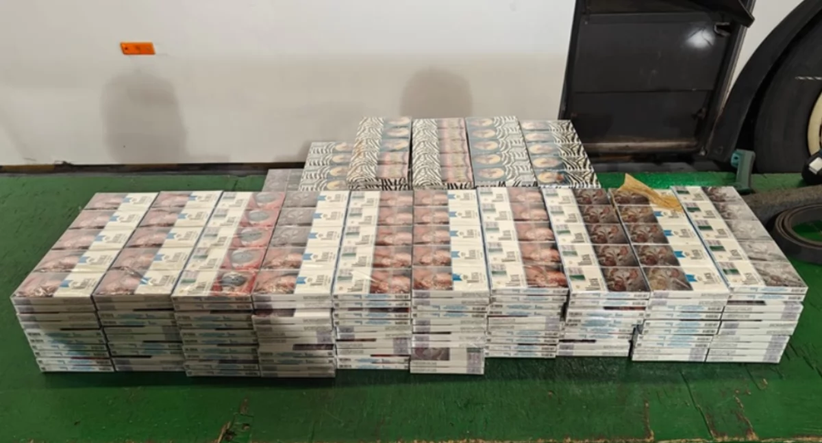 Terespol: „jechał na papierosach”- i wpadł. Celnicy przechwycili 1100 paczek kontrabandy