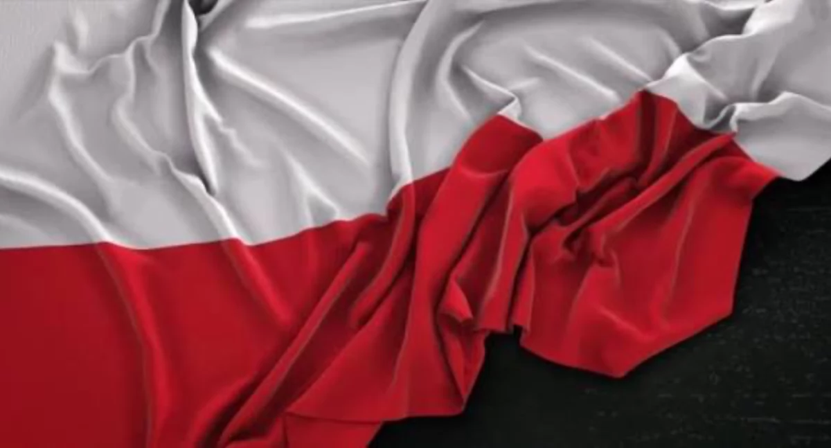 Z dumą o przeszłości, z radością o przyszłości – Gminne Obchody Święta Niepodległości w Sworach