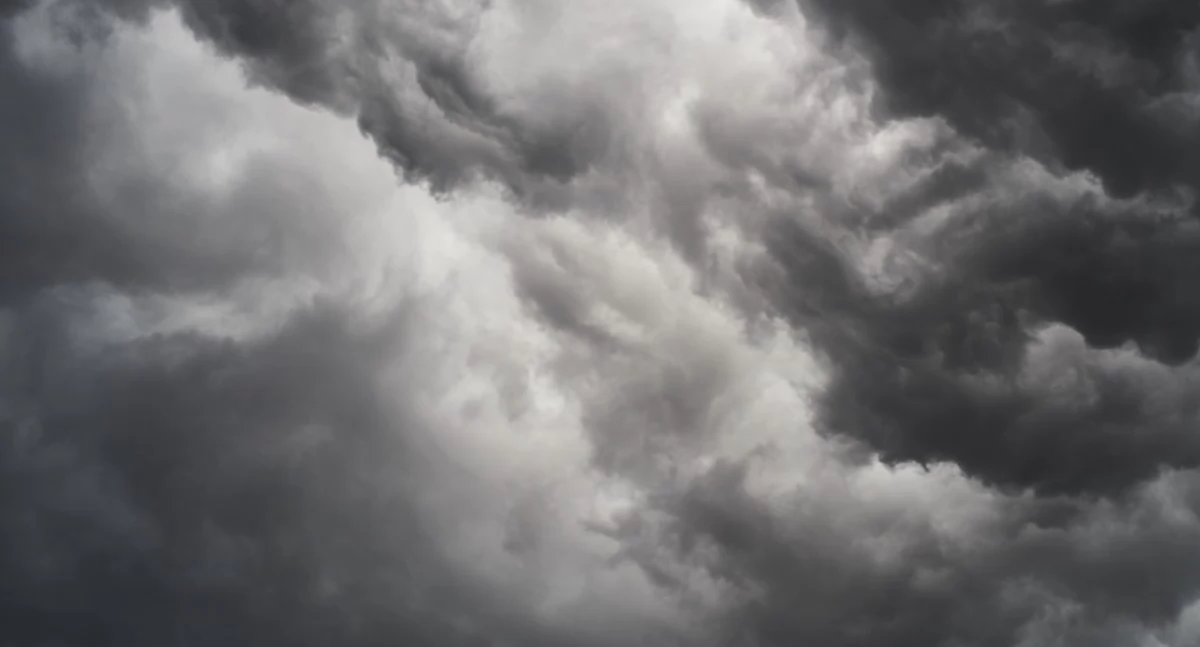 Powiat bialski pod ostrzeżeniem meteorologicznym – porywy wiatru do 75 km/h.