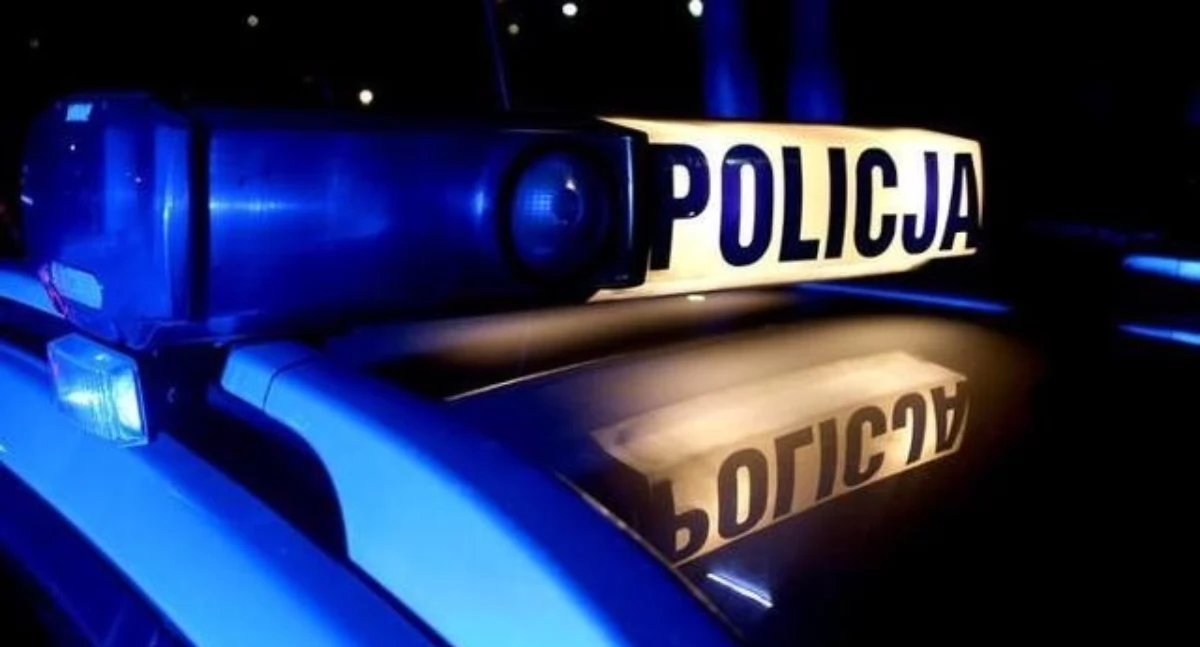 Nietrzeźwy wjechał na granicę i spowodował kolizję. Teraz policjanci wnioskują o jego wydalenie z Polski