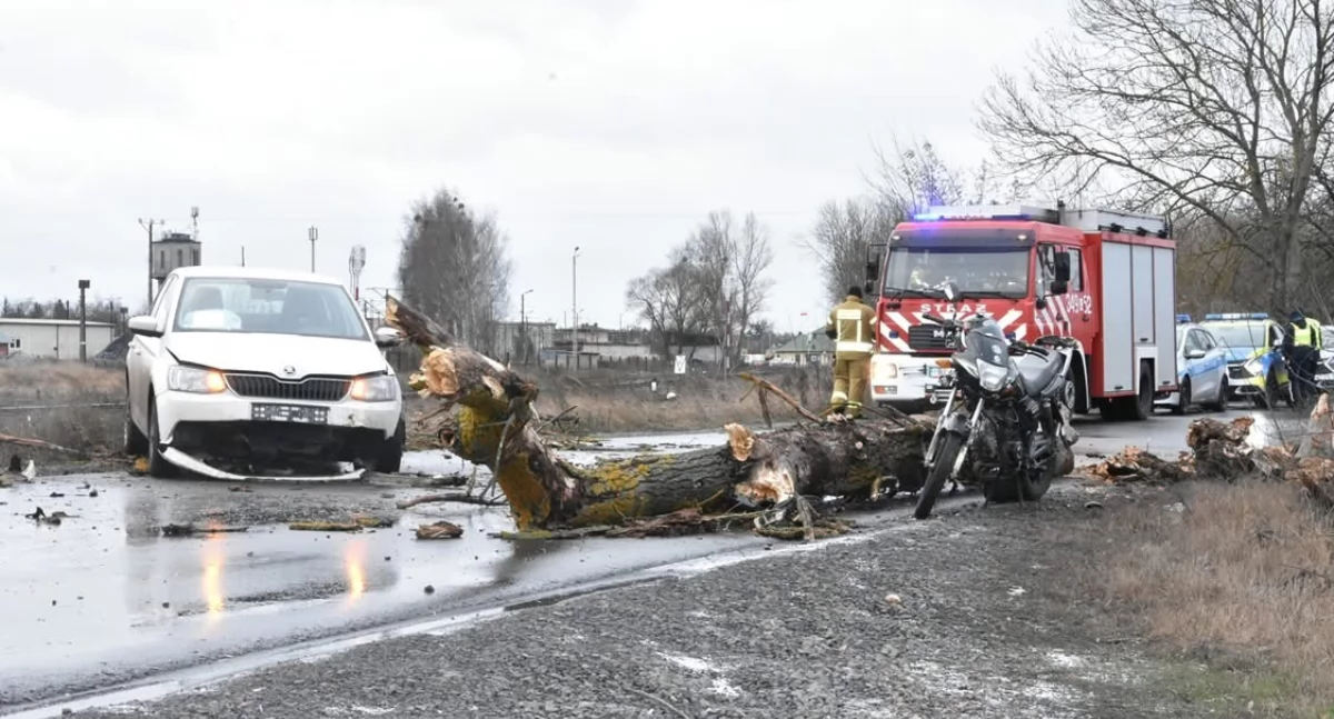 Małaszewicze: Konar na drodze doprowadził do wypadku. Ranny 59-latek trafił do szpitala