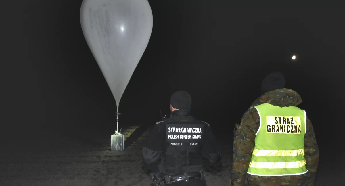 Straż Graniczna rozbiła zorganizowaną grupę przestępczą działającą na pograniczu