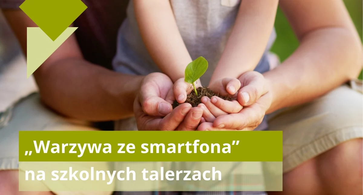 Warzywa „na kliknięcie” w Łomazach? Gmina walczy o unijne pieniądze na szkolną rewolucję