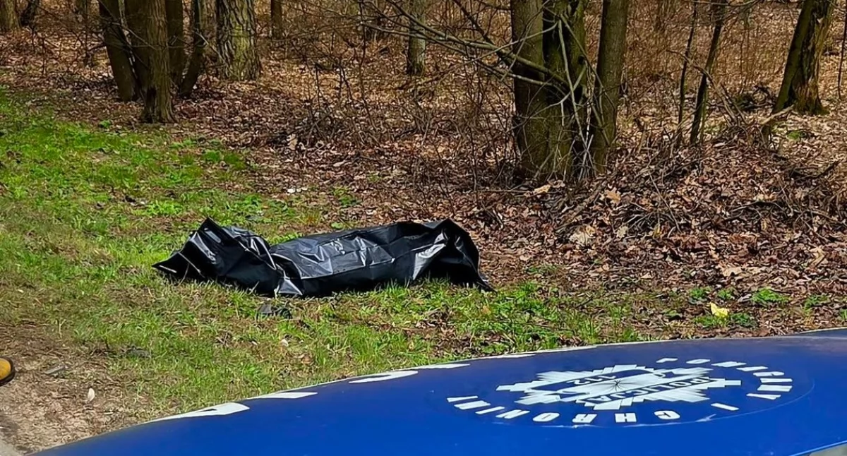 Alarm w lesie przy DW 811. „Radioaktywne znalezisko” okazało się czymś zupełnie innym