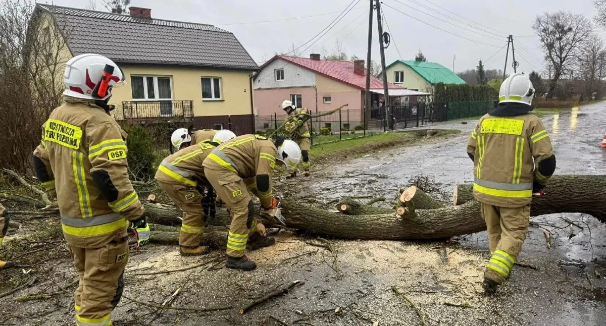 Intensywny wiatr i burze w województwie lubelskim. Setki interwencji związanych z usuwaniem skutków wichur