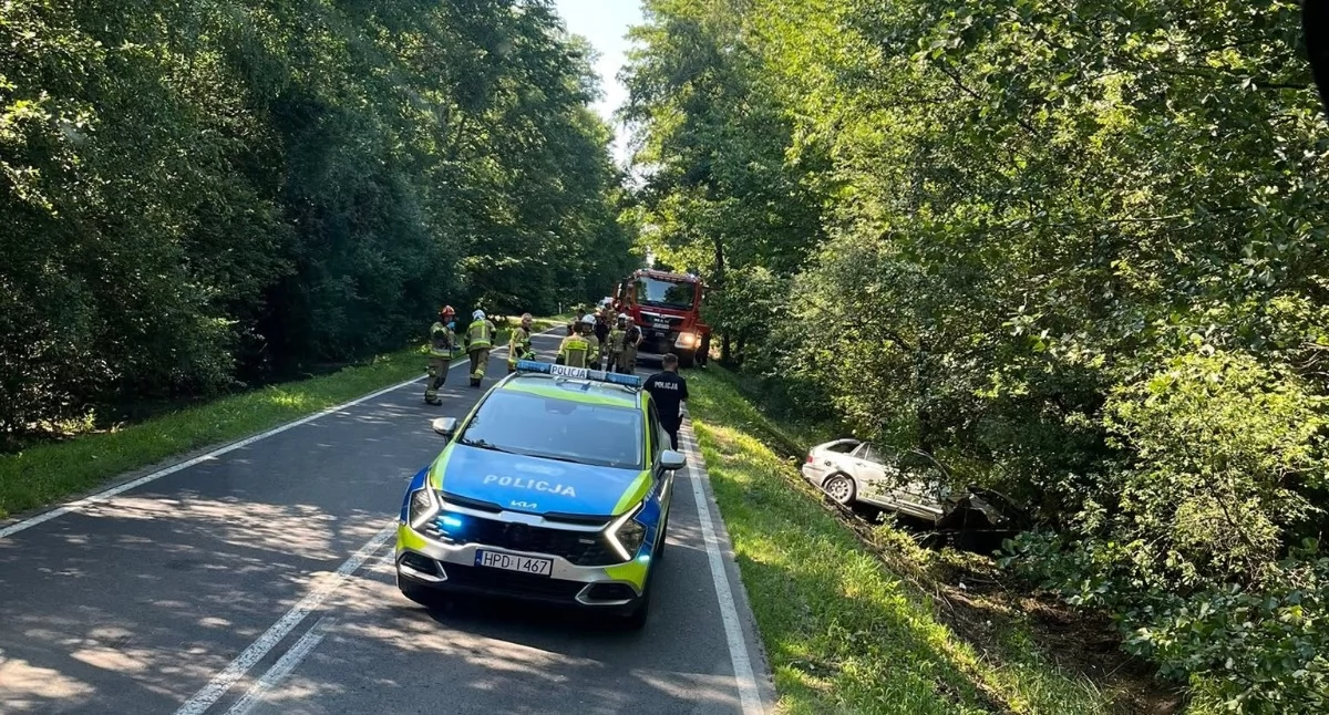 Ponad 2 promile alkoholu u kierowcy. BMW uderzyło w drzewo w Drelowie
