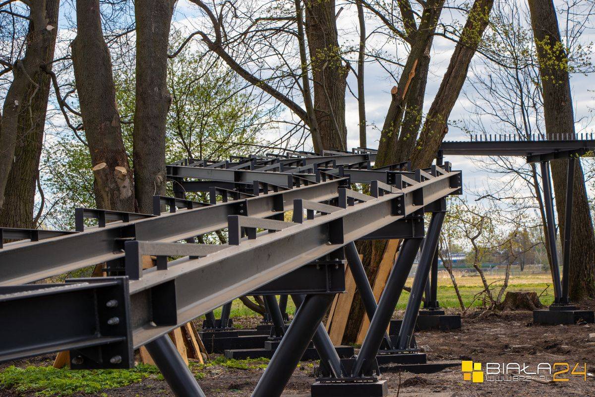 Budują park w "małpim gaju"