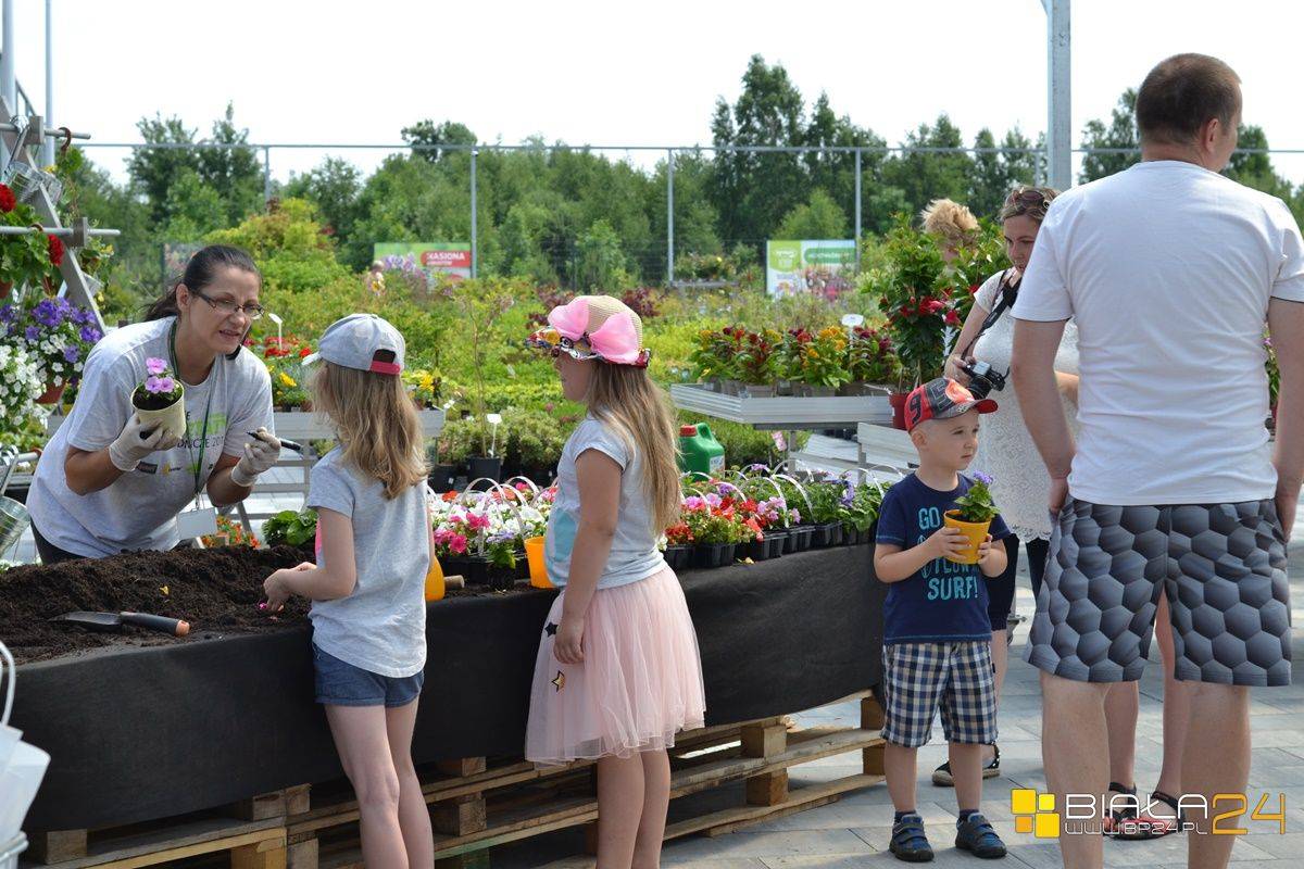 Piknik ogrodniczy w Zielonej Galerii
