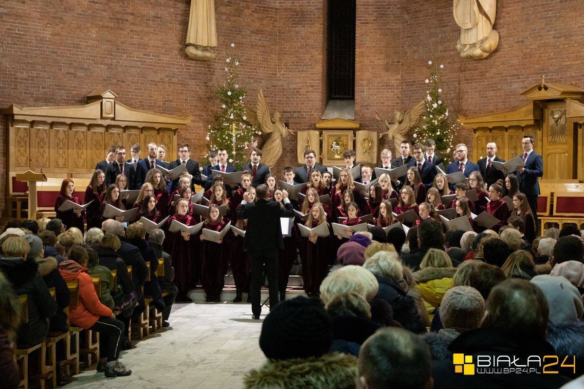 Koncert kolęd Schola Cantorum Misericordis Christi