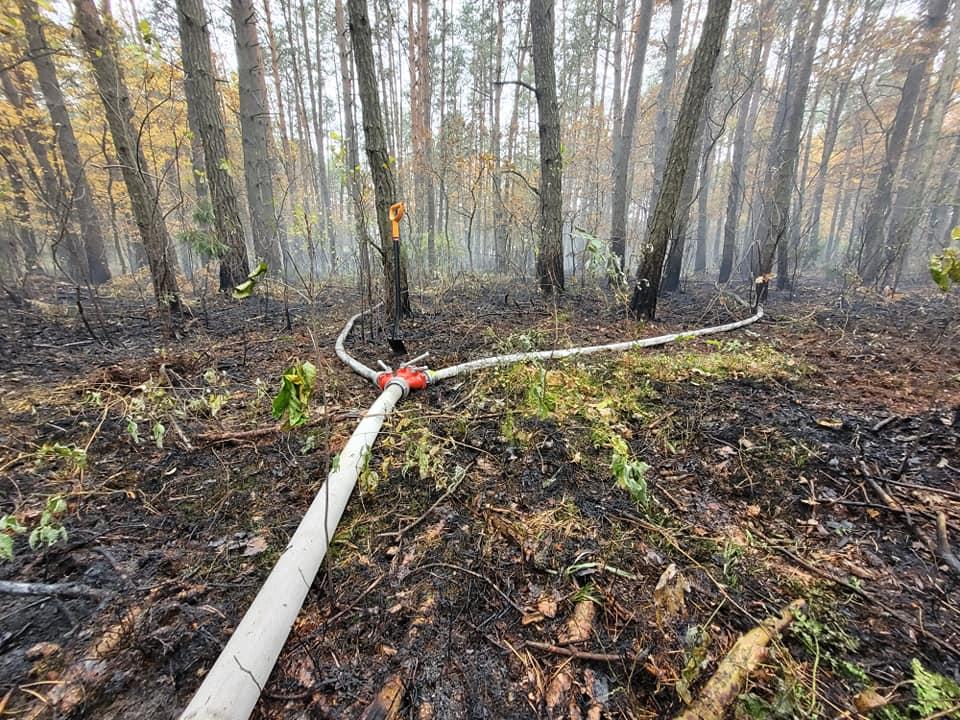 Szukają osoby odpowiedzialnej za pożar lasu 