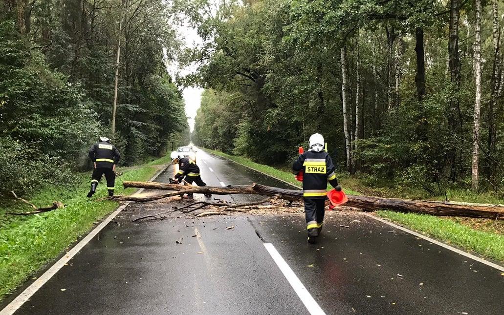 Zagrożenia w powiecie skutkiem silnych wiatrów