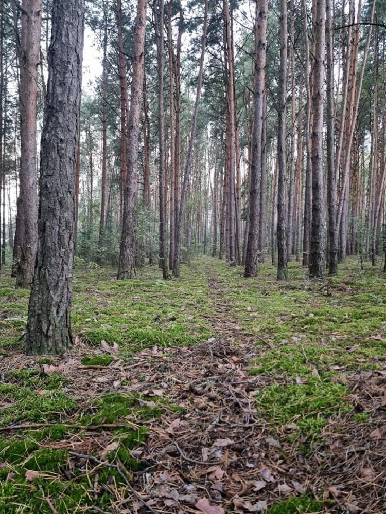 Posprzątaj świat razem z przedszkolakami