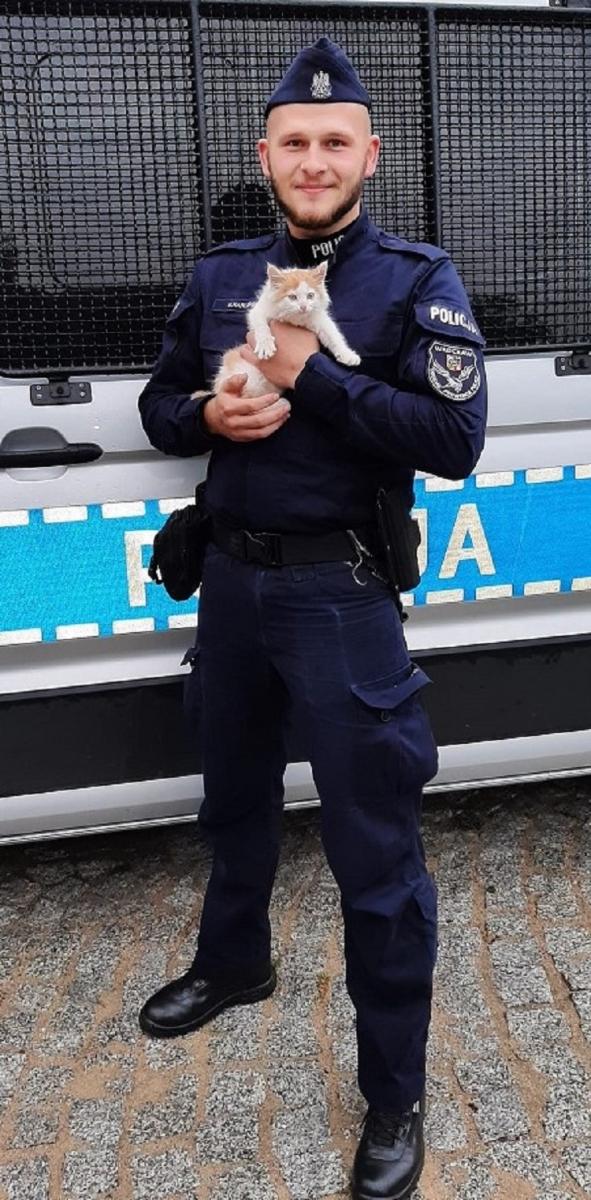 Wołał o pomoc. Uratowali kotka przed dzikimi zwierzętami