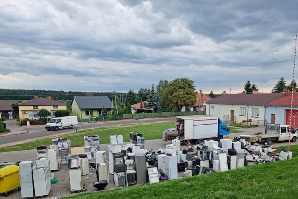 Oddaj elektrośmieci, zasadź drzewo
