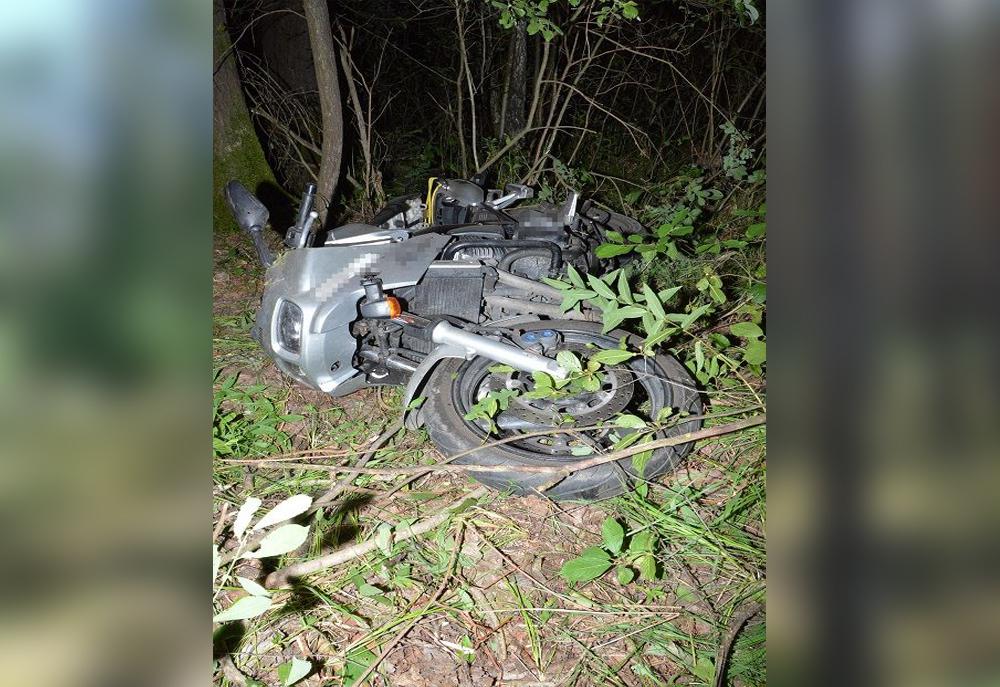 Motocyklista zderzył się z łosiem