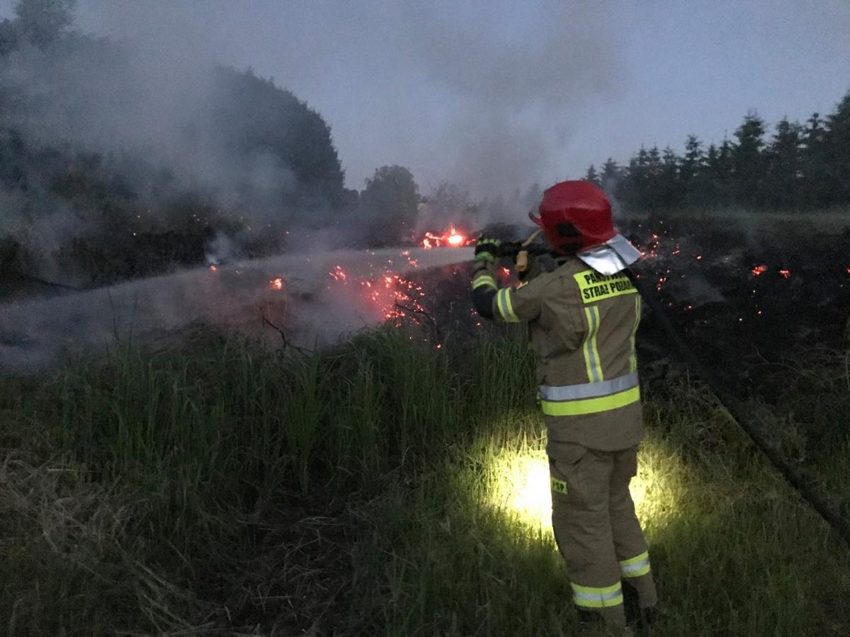 Zaprószył ogień. Potrzebna była interwencja straży 