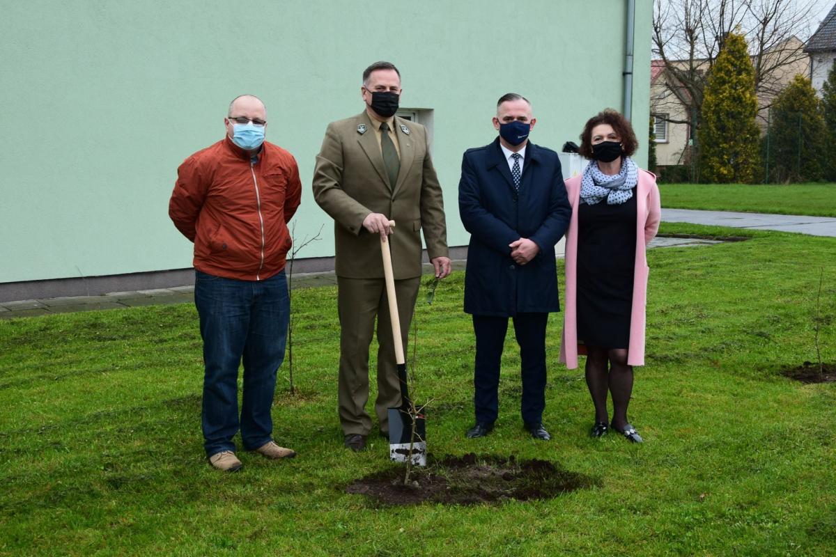 Posadzili dęby ku pamięci Ślązaków
