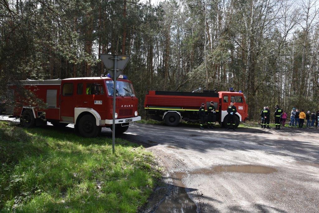 W Światowy Dzień Ziemi posprzątali las w gminie Międzyrzec Podlaski
