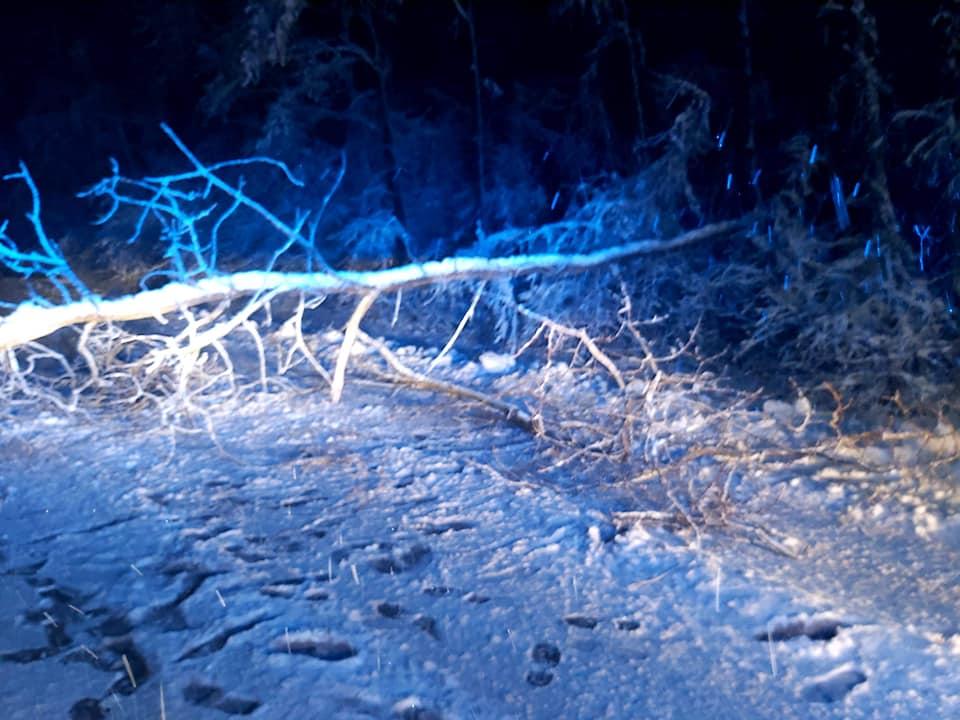 Ponad 40 interwencji straży pożarnej w jedną noc. Drzewo spadło na auto