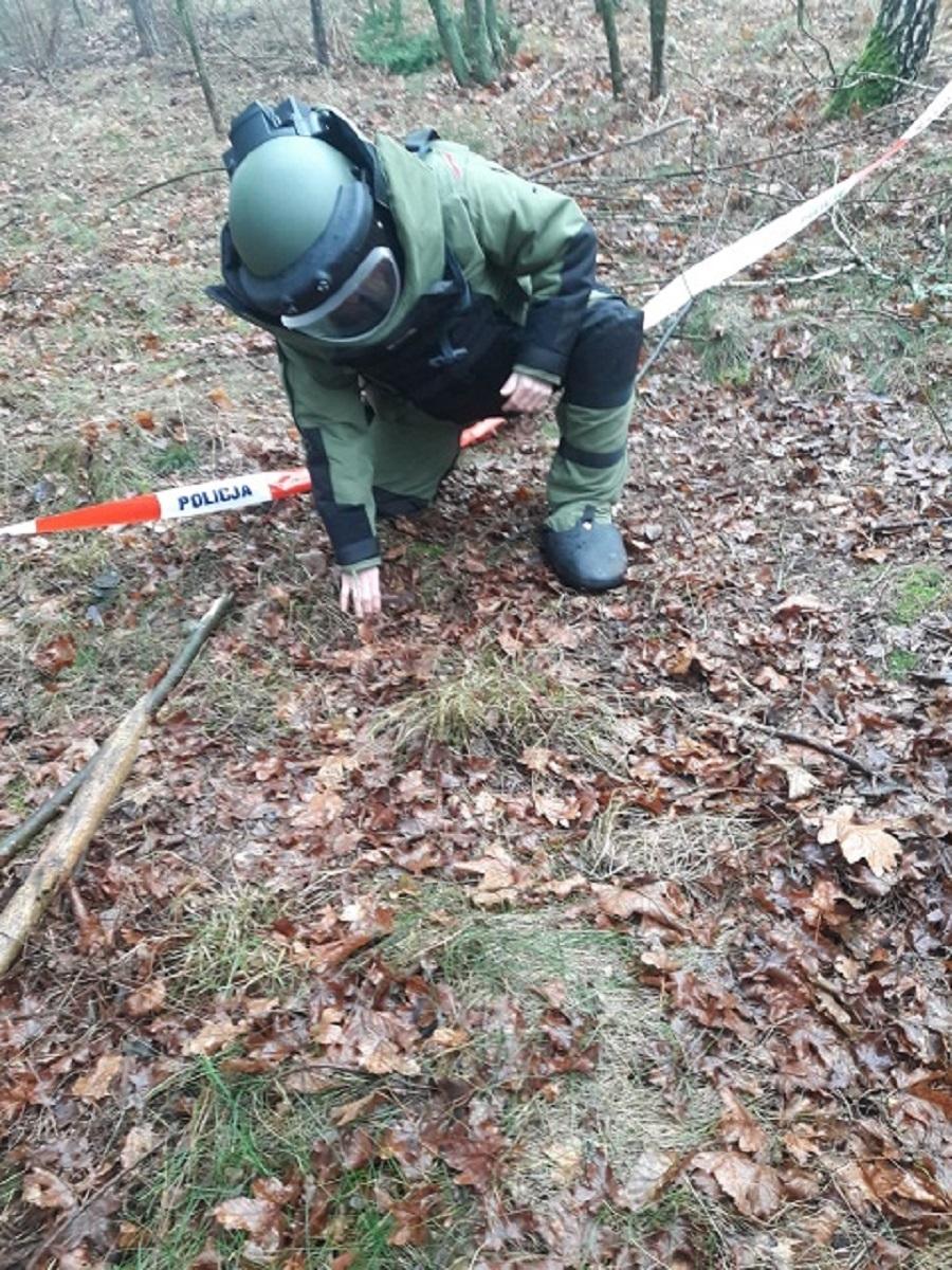 Bomba lotnicza spadła do lasu