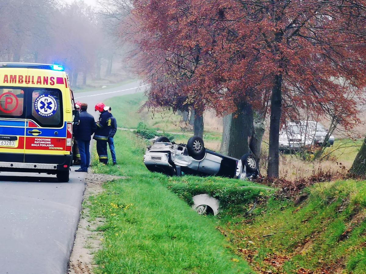 Audi na drzewie, renault w rowie