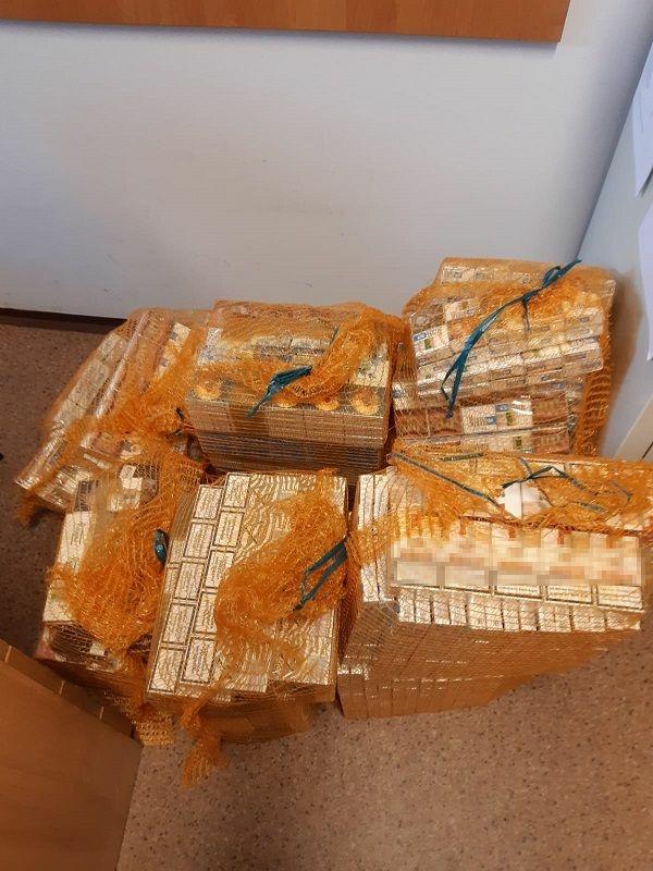 Pies pomógł w odnalezieniu towaru z przemytu